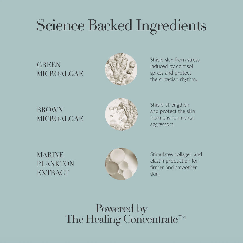 Cushioning Day Cream