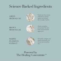 Omorovicza Cushioning Day Cream: Firm & Protect - Dual Microalgae Complex