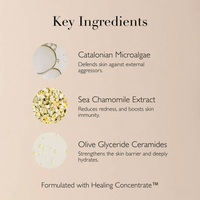 Omorovicza Soothing Salve: Calm & Strengthen - Ceramide NP | Antioxidant Complex