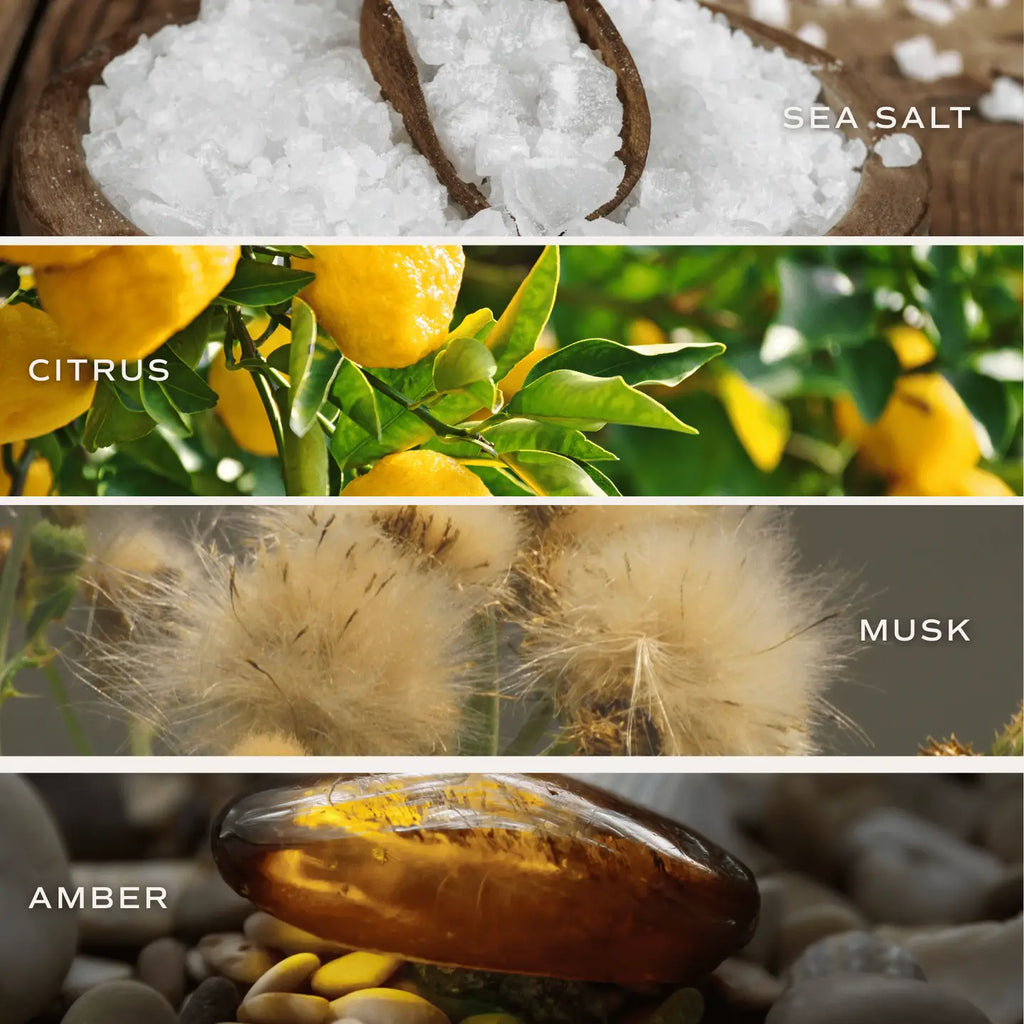 Mahjong 9 oz Soy Candle