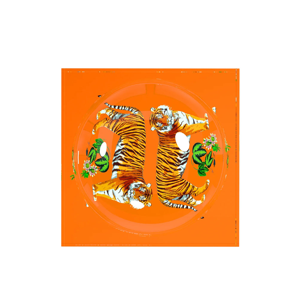 Nicolette Meyer Acrylic Catchall Dish - "Orange Tiger" - View 2